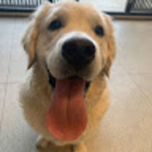 Meet your Posher, Lisa marie